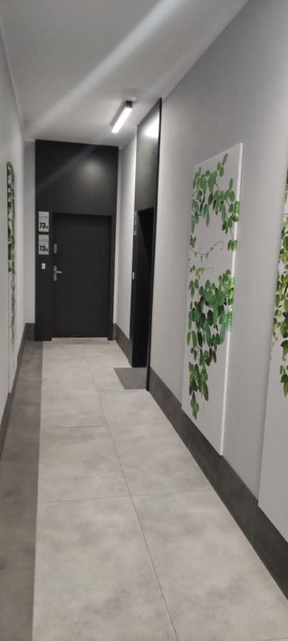 Apartament Centrum بيدغوستيا المظهر الخارجي الصورة
